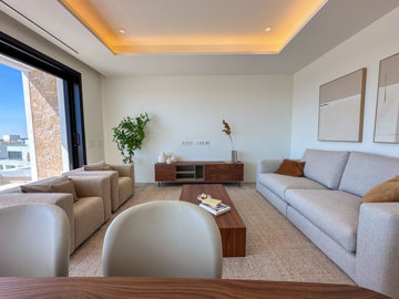 luxury-penthouse-apartment-on-las-colinas-for