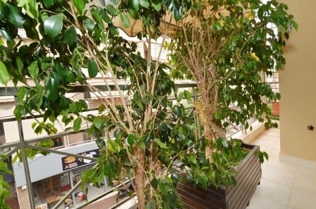 Image No.17-3 Bed Penthouse for sale