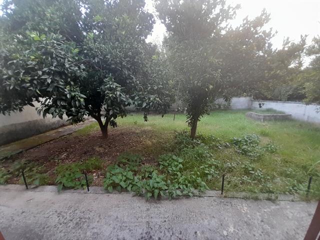 Image No.7-Terre de 2 chambres à vendre à Meligalas