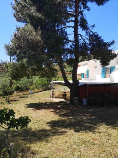 Image No.11-Villa / Détaché de 4 chambres à vendre à Koroni