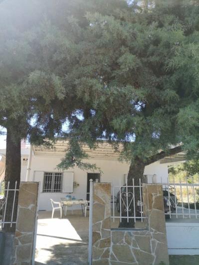 Image No.12-Villa / Détaché de 4 chambres à vendre à Koroni