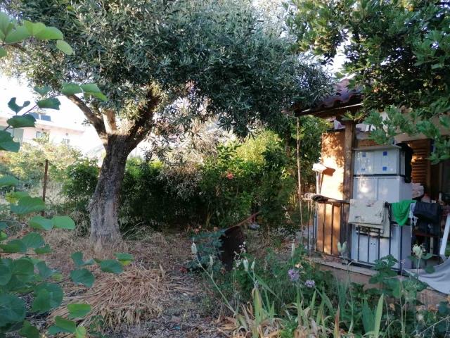 Image No.4-Terre à vendre à Kalamata