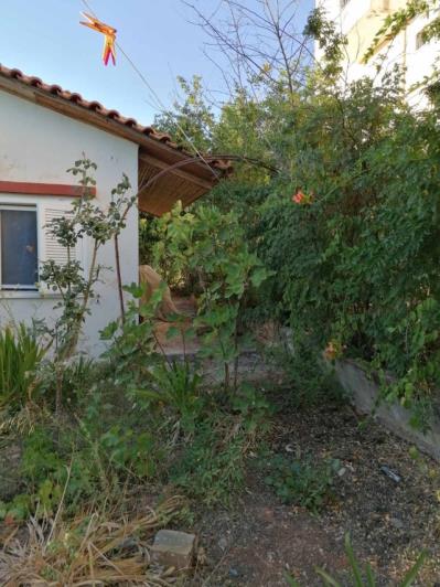 Image No.3-Terre à vendre à Kalamata