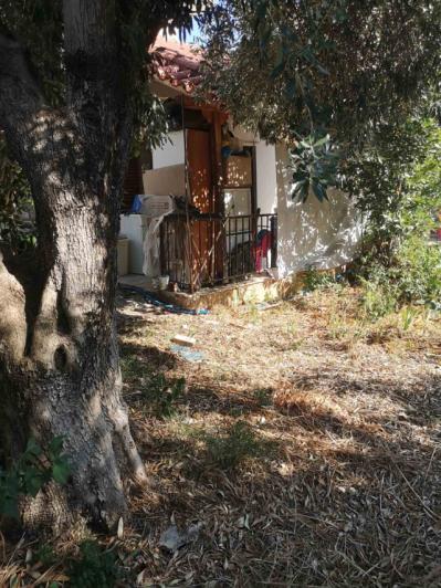 Image No.6-Terre à vendre à Kalamata