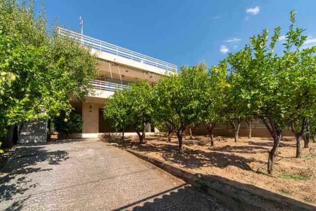 Image No.3-Terre à vendre à Saronida