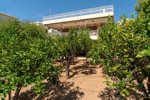 Image No.4-Terre à vendre à Saronida