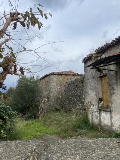 Image No.10-3 Bed Land for sale