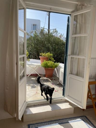 Image No.7-Appartement de 2 chambres à vendre à Mykonos