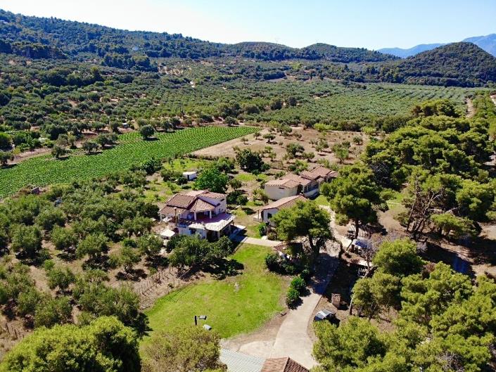 Image No.24-Maison / Villa de 8 chambres à vendre à Messinia