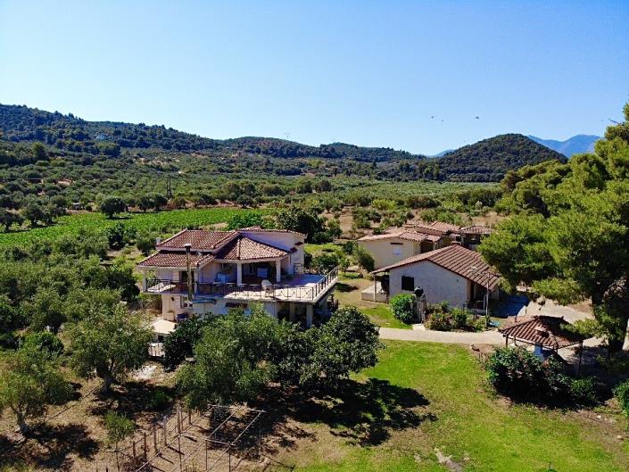 Image No.27-Maison / Villa de 8 chambres à vendre à Messinia