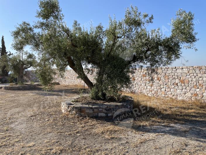 Image No.5-Maison de 4 chambres à vendre à Markopoulo