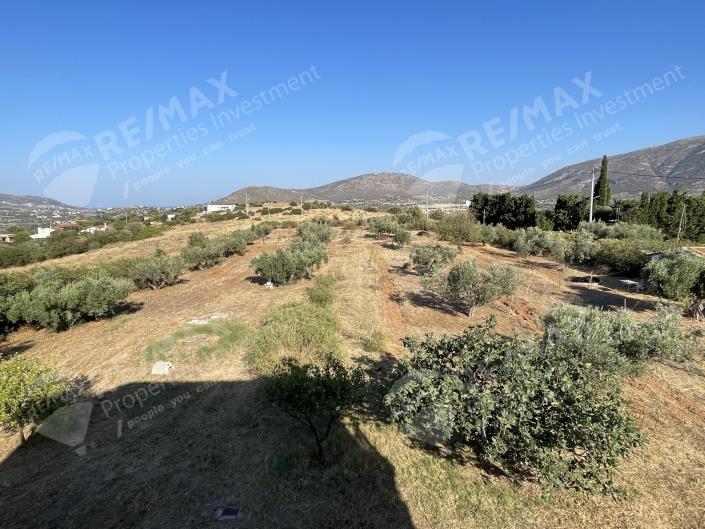 Image No.13-Maison de 4 chambres à vendre à Markopoulo