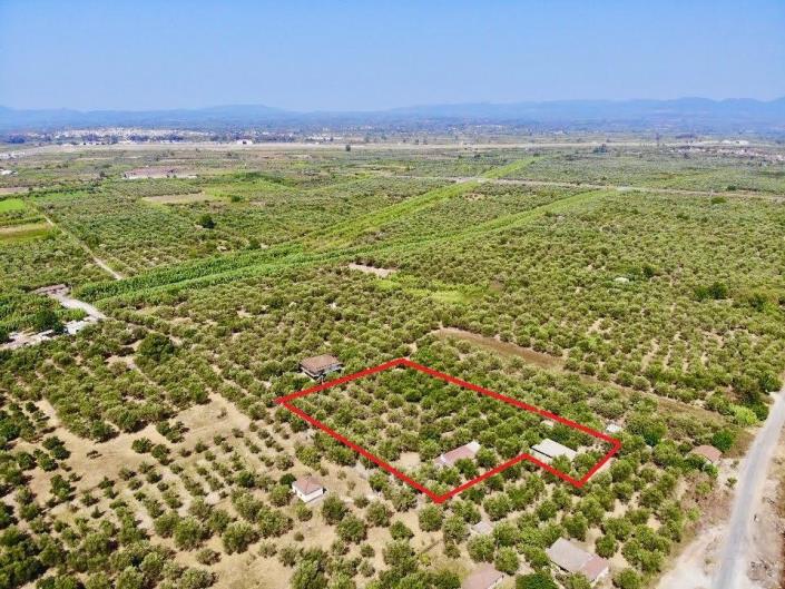 Image No.3-floorplan-3