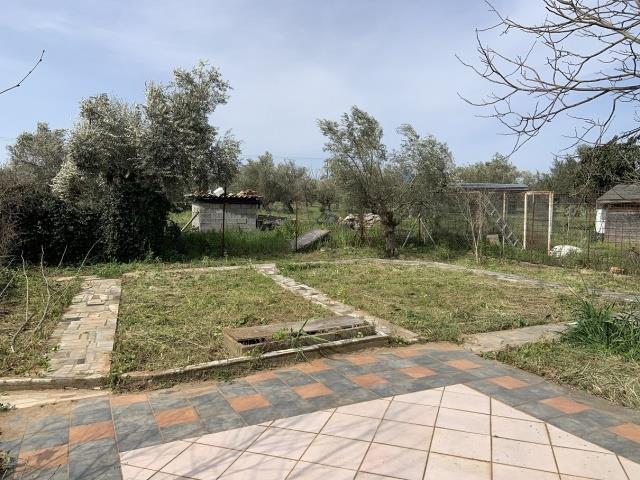 Image No.6-3 Bed Country House for sale