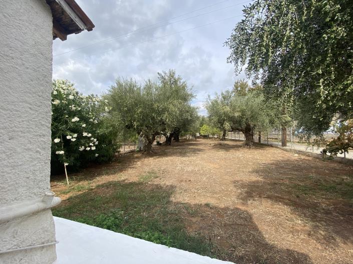 Image No.8-Maison de 2 chambres à vendre à Meligalas