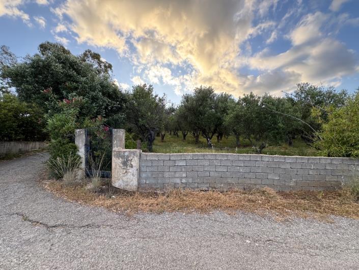 Image No.4-Maison de 6 chambres à vendre à Petalidi