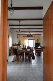 941ef2848eb3447ea0d3a5dcaa2534b5