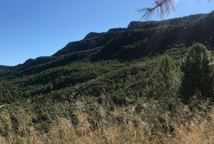 Image No.20-Maison de campagne de 5 chambres à vendre à Moratalla