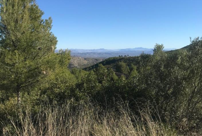 Image No.21-Maison de campagne de 5 chambres à vendre à Moratalla