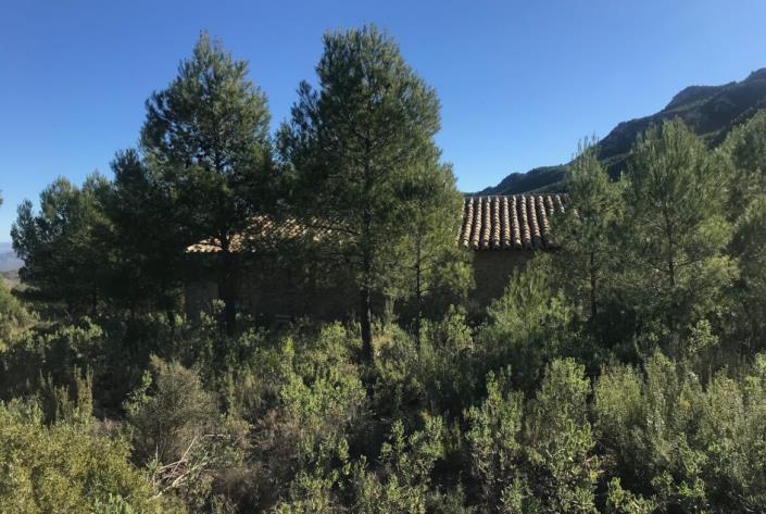 Image No.25-Maison de campagne de 5 chambres à vendre à Moratalla