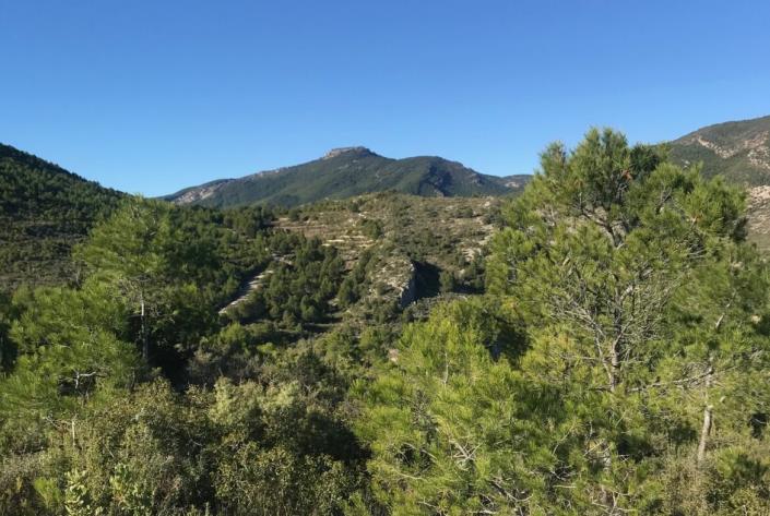 Image No.26-Maison de campagne de 5 chambres à vendre à Moratalla