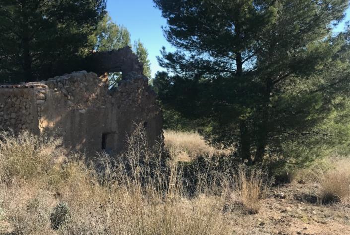 Image No.27-Maison de campagne de 5 chambres à vendre à Moratalla