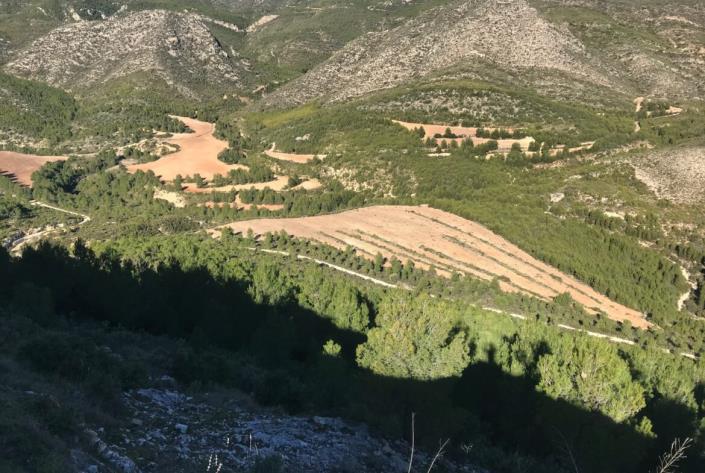 Image No.29-Maison de campagne de 5 chambres à vendre à Moratalla