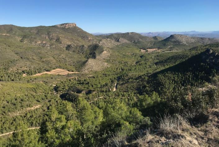 Image No.31-Maison de campagne de 5 chambres à vendre à Moratalla