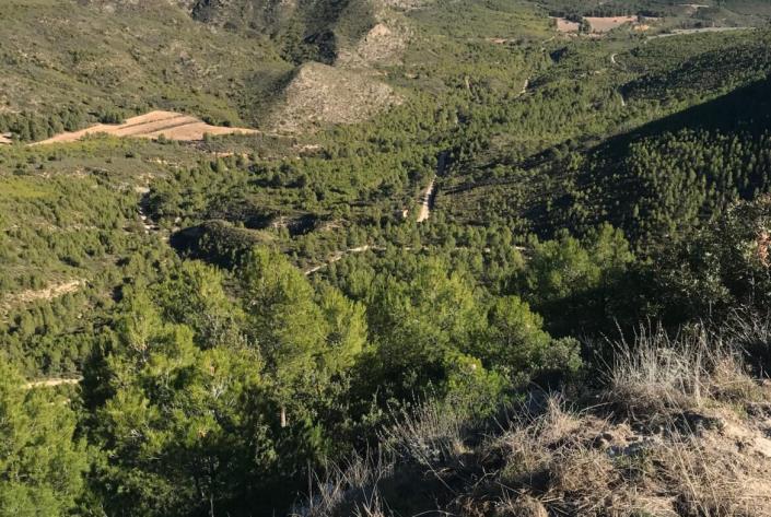 Image No.34-Maison de campagne de 5 chambres à vendre à Moratalla