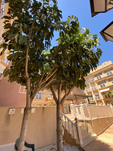 Image No.48-2 Bed Apartment for sale