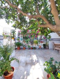 PHOTO-2025-12-03-18-35-17_2