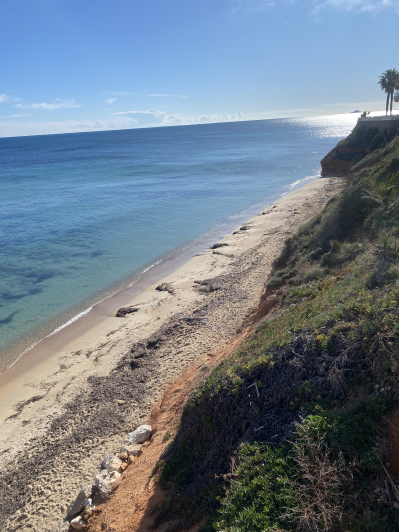 Image No.49-4 Bed Duplex for sale