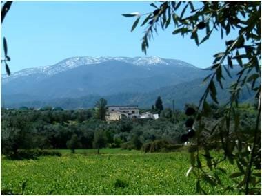 Image No.8-Villa / Détaché de 5 chambres à vendre à Troödos