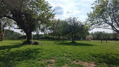 propertyimage1n32vd0hhg20230109112536