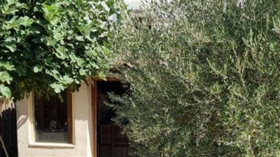 propertyimage1awcbupt7a20230214070307