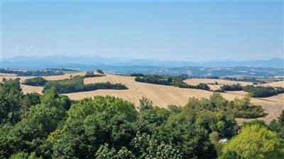 propertyimage1zcmjzi0tl20230214070144