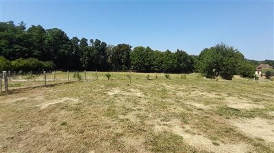propertyimage1erojt65na20230729063520