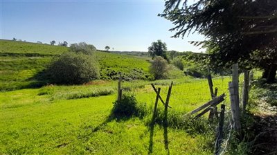 propertyimage131svndphm20230815063847
