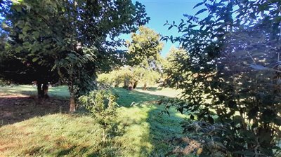 propertyimage1bjwpmqtaw20230921061244