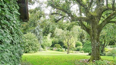 propertyimage17den77kw720230930061124