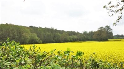 propertyimage1dsgjavd3220230930061251
