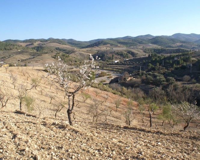 Image No.2-Propriété à vendre à Alicante