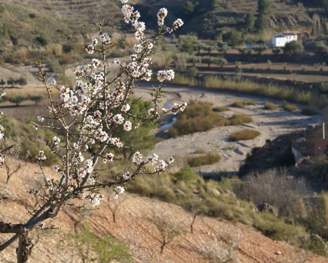Image No.3-Propriété à vendre à Alicante