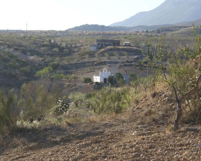 Image No.5-Propriété à vendre à Alicante