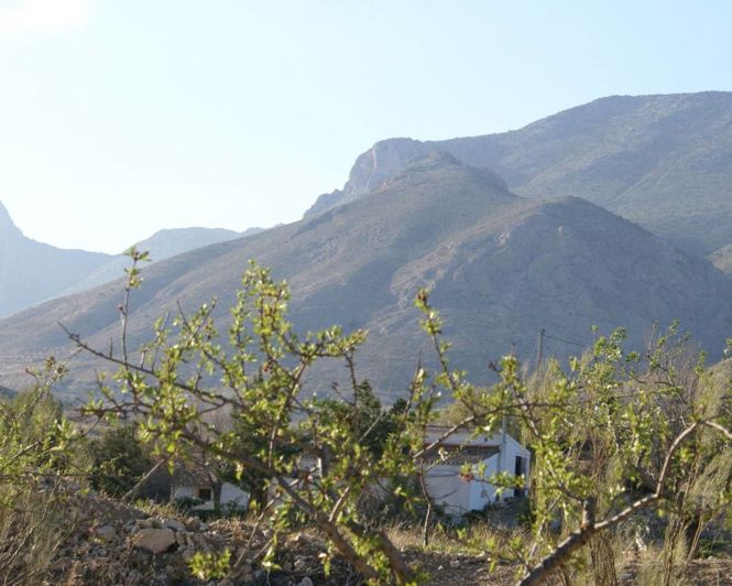 Image No.6-Propriété à vendre à Alicante