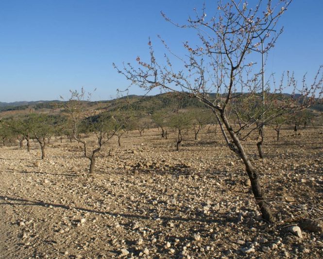 Image No.8-Property for sale