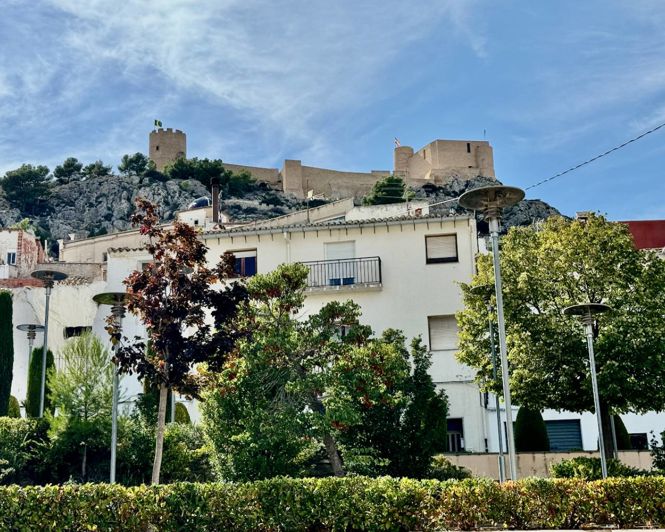 Image No.50-8 Bed Country Property for sale