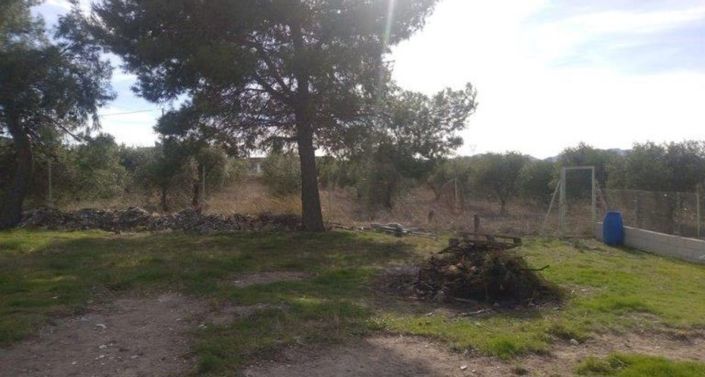 Image No.18-Villa de 4 chambres à vendre à Yecla