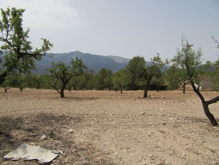 Image No.15-Property for sale