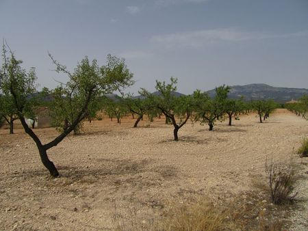 Image No.16-Property for sale